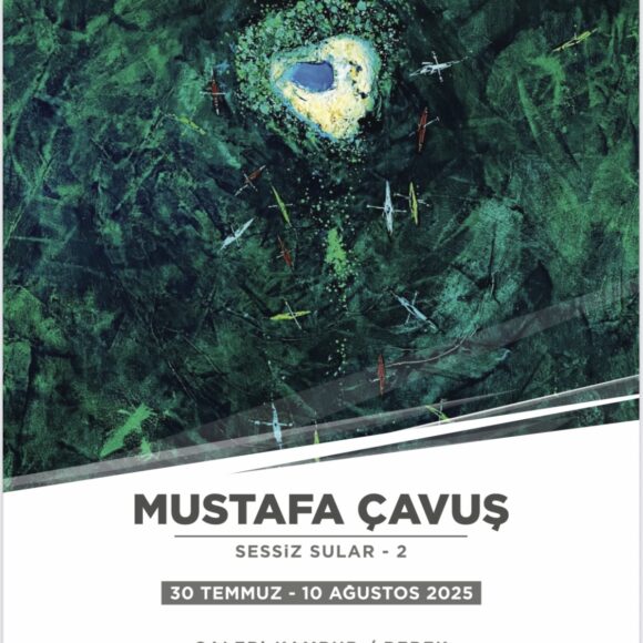 Mustafa Çavuş “Sessiz Sular-2”